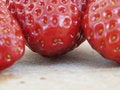 Free Strawberries Royalty Free Stock Image - 5570816