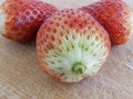 Free Strawberries Stock Photos - 5570883