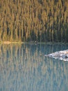 Free Calm Lake And Forest Royalty Free Stock Photos - 5571238