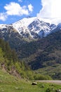 Free Caucasus Stock Photo - 5574500