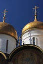 Free Cathedral Of The Assumption Stock Image - 5575171