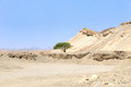 Free View Arabian Desert, Stock Image - 5575281