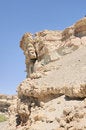 Free View Arabian Desert, Stock Photos - 5575303