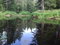 Free River In Forest Stock Image - 5572381