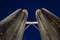 Free Kuala Lumpur Twin Towers Stock Photos - 5572703