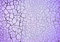 Free Peeling Off Paint Stock Photos - 5577883