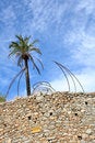 Free Summer Tourism Stock Images - 5582964