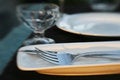 Free Dinner Table Detail Stock Photos - 5584533
