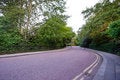 Free Regent S Park, London - 05 Royalty Free Stock Image - 5586326
