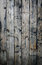 Free Great Wooden Background Stock Photos - 5580203