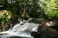 Free Waterfalls Royalty Free Stock Photography - 5592057