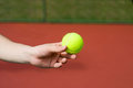 Free Tennis Ball Stock Photos - 5592093
