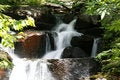 Free Waterfalls 4 Stock Image - 5592311