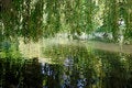 Free Regent S Park, London - 16 Stock Image - 5593751