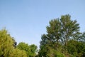 Free Regent S Park, London - 18 Royalty Free Stock Photography - 5593787
