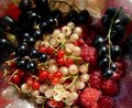 Free Fruits Royalty Free Stock Image - 5595646