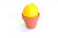 Free Lemon In Terracotta Pot Stock Photography - 5599892