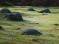 Free Stones On The Grass Royalty Free Stock Image - 563706