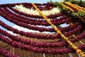 Free Strings Of Flowers, Jodhpur, Strings Of Flowers, Rajastan Royalty Free Stock Photo - 563845