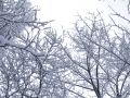 Free Winter 2 Stock Photography - 568142