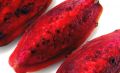 Free Prickly Pear Stock Photos - 568983