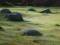 Free Stones On The Grass Royalty Free Stock Image - 563706