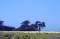 Free Springtime Coastal Meadow Stock Image - 564851