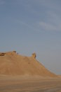 Free NECK CAMEL SAHARA TUNISIA Stock Photo - 5602840