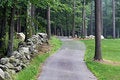 Free Country Road Royalty Free Stock Image - 5607126