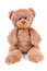 Free Clever Bear Royalty Free Stock Images - 5604479