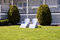 Free Adirondack Squared Stock Photography - 5606432