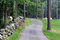 Free Country Road Royalty Free Stock Image - 5607126