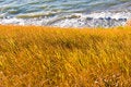 Free Steppe And Sea Stock Photos - 5611333
