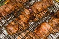 Free Grilled Meat Stock Photos - 5617303