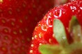 Free Strawberries Stock Photo - 5619790