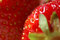 Free Strawberries Stock Photo - 5619790