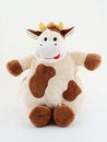 Free Crazy Fat Cow On White Back Stock Photography - 5624522