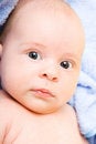 Free Cute Two Month Baby Stock Photo - 5636130