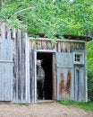 Free Horse In Sta11 Stock Image - 5638961