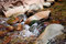 Free Water In River Stock Photo - 5637010