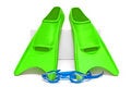 Free Flippers With Goggles On White Backgr Stock Photo - 5642470