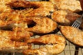 Free Appetizing Barbecue From A Red Fish Stock Photos - 5643183
