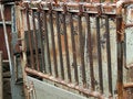 Free Calf Table Stock Photos - 5648803