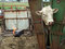 Free Charolais Bull And Firebrand Royalty Free Stock Photos - 5648968