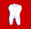 Free Tooth Stock Photos - 5669483
