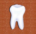 Free Tooth Stock Photography - 5669562