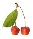 Free Red Cherry Royalty Free Stock Photos - 5673878