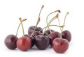 Free Cherries Royalty Free Stock Photos - 5673978