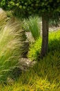 Free Botanical Garden Stock Photo - 5675460
