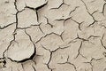 Free Arid Mud Royalty Free Stock Photo - 5676605